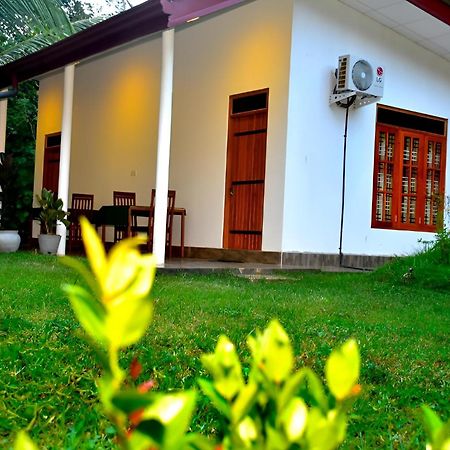 Little Ele Safari Lodge Udawalawe Exterior foto
